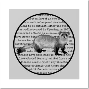Endangered Black-Footed Ferret Posters and Art